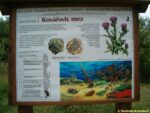 Informační panel zastávky Kovářovic mez naučné stezky Prokopské údolí - Butovickým hradištěm
