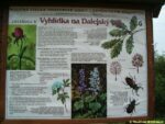 Informační panel zastávky Vyhlídka na Dalejský háj naučné stezky Prokopské údolí - Butovickým hradištěm