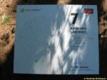 Labyrintárium Loučeň - informační panel u kamenného labyrintu, vystavěného z labských balvanů
