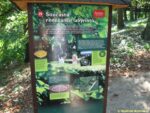 Labyrintárium Loučeň - devatenáctý (předposlední) informační panel naučné stezky informuje o současném obrození stavby labyrintů