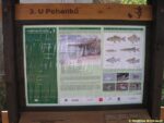 3. zastávka naučné stezky Vinořský park - Satalická bažantnice (U Pohanků)