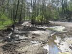 Vinořský park - rybník U Kamenného stolu