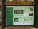 5. zastávka naučné stezky Vinořský park - Satalická bažantnice (Pod hradištěm)
