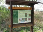 6. zastávka naučné stezky Vinořský park - Satalická bažantnice (Na rozcestí)
