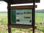 7. zastávka naučné stezky Vinořský park - Satalická bažantnice (V aleji)