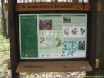 8. zastávka naučné stezky Vinořský park - Satalická bažantnice (Bažantnice v Satalicích)