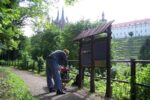 instalace panelů naučné stezky na Královské procházce v Kutné Hoře