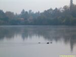 Jevanský rybník na trase naučné stezky Voděradské bučiny