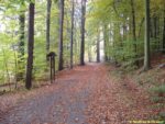 trasa naučné stezky Voděradské bučiny