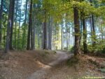 trasa naučné stezky Voděradské bučiny