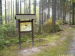 zastávka naučné stezky Voděradské bučiny - Savci Voděradských bučin