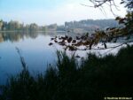 Vyžlovský rybník na trase naučné stezky Voděradské bučiny