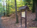 zastávka naučné stezky Voděradské bučiny - Lesní ptáci Voděradských bučin