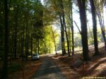 trasa naučné stezky Voděradské bučiny
