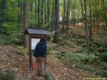 zastávka naučné stezky Voděradské bučiny - Vodní a suchozemský hmyz území Voděradských bučin