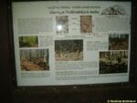 zastávka naučné stezky - Geologie Voděradských bučin