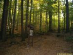 zastávka naučné stezky - Geologie Voděradských bučin